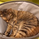 Moff animal world MARK IS みなとみらい店に投稿された画像（2021/11/20）