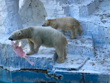 天王寺動物園に投稿された画像（2021/11/20）