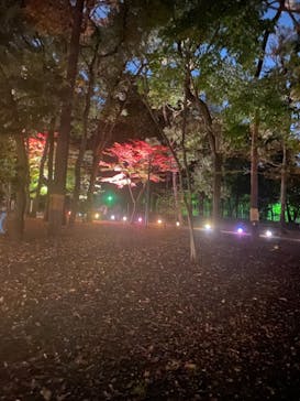 江戸東京たてもの園に投稿された画像（2021/11/20）