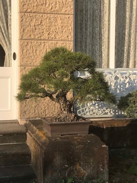 鳩山会館に投稿された画像（2021/11/20）