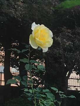 鳩山会館に投稿された画像（2021/11/20）