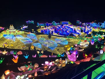 伊豆ぐらんぱる公園に投稿された画像（2021/11/20）