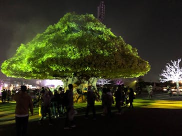 東京メガイルミに投稿された画像（2021/11/20）