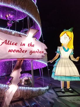 大江戸温泉物語 浦安万華郷に投稿された画像（2021/11/20）