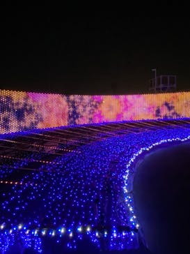 東京メガイルミに投稿された画像（2021/11/20）