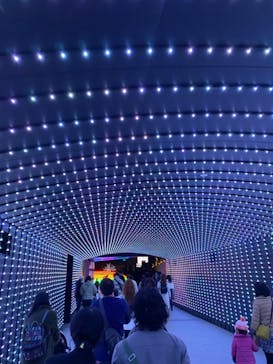 東京メガイルミに投稿された画像（2021/11/20）