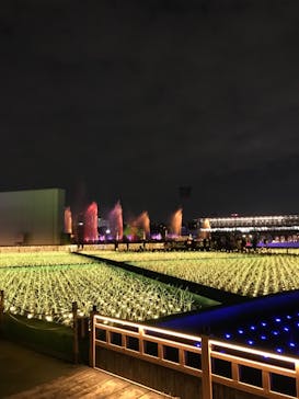 東京メガイルミに投稿された画像（2021/11/20）