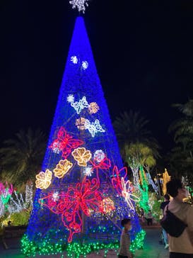 美らヤシパークオキナワ・東南植物楽園に投稿された画像（2021/11/20）