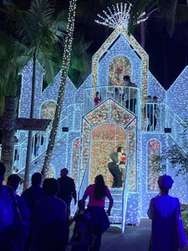 美らヤシパークオキナワ・東南植物楽園に投稿された画像（2021/11/20）