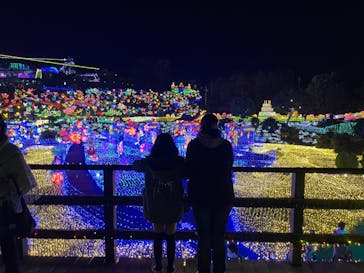 伊豆ぐらんぱる公園に投稿された画像（2021/11/20）