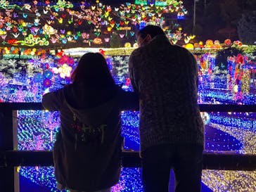 伊豆ぐらんぱる公園に投稿された画像（2021/11/20）