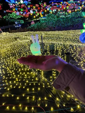 伊豆ぐらんぱる公園に投稿された画像（2021/11/20）