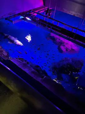 横浜・八景島シーパラダイスに投稿された画像（2021/11/20）