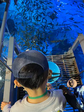 横浜・八景島シーパラダイスに投稿された画像（2021/11/20）