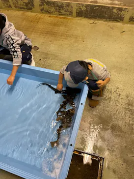 横浜・八景島シーパラダイスに投稿された画像（2021/11/20）