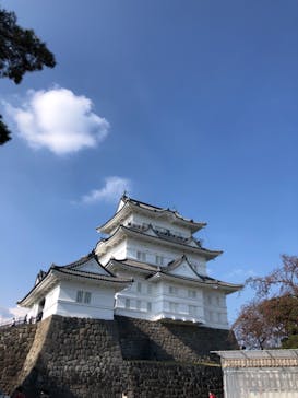 小田原城に投稿された画像（2021/11/20）