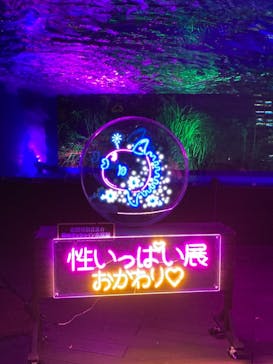 サンシャイン水族館に投稿された画像（2021/11/20）