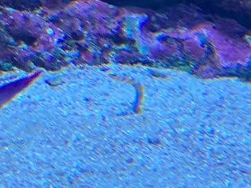 サンシャイン水族館に投稿された画像（2021/11/20）