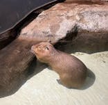 マクセル アクアパーク品川に投稿された画像（2021/11/21）