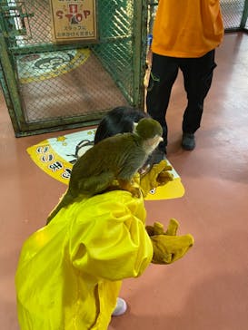 那須ワールドモンキーパークに投稿された画像（2021/11/20）