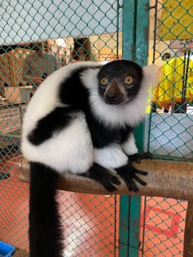 那須ワールドモンキーパークに投稿された画像（2021/11/20）