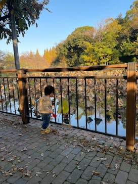 安城産業文化公園デンパークに投稿された画像（2021/11/20）