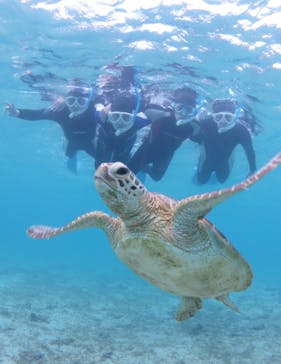 アマミエンシスに投稿された画像（2021/11/20）