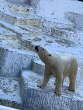天王寺動物園に投稿された画像（2021/11/20）