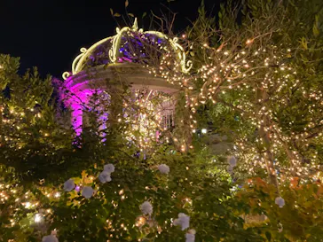 ひらかたパークに投稿された画像（2021/11/20）