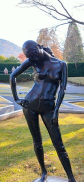 彫刻の森美術館に投稿された画像（2021/11/20）