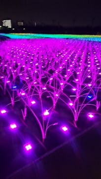 東京メガイルミに投稿された画像（2021/11/21）