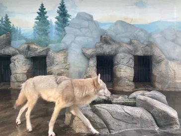 天王寺動物園に投稿された画像（2021/11/21）