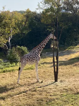 天王寺動物園に投稿された画像（2021/11/21）