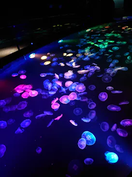 すみだ水族館に投稿された画像（2021/11/21）