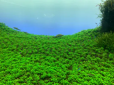 すみだ水族館に投稿された画像（2021/11/21）