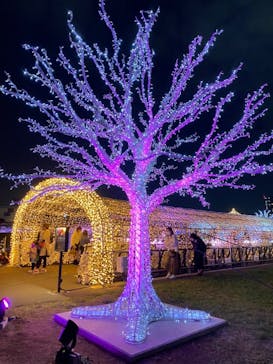 東京メガイルミに投稿された画像（2021/11/21）