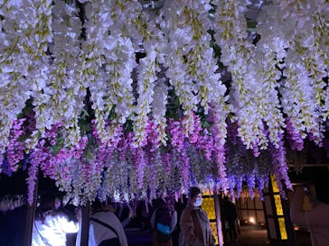 東京メガイルミに投稿された画像（2021/11/21）