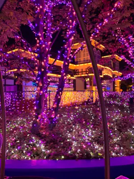 ひらかたパークに投稿された画像（2021/11/21）