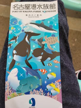 名古屋港水族館に投稿された画像（2021/11/21）