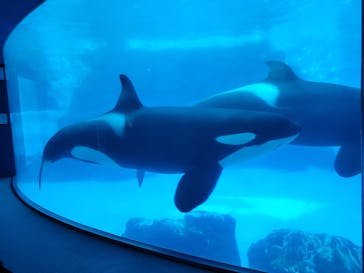 名古屋港水族館に投稿された画像（2021/11/21）