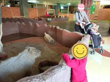 ひらかたパークに投稿された画像（2021/11/21）