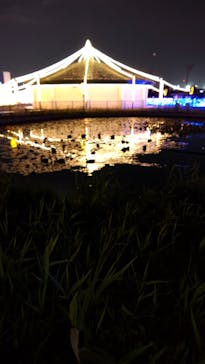 東京メガイルミに投稿された画像（2021/11/21）