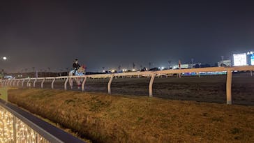 東京メガイルミに投稿された画像（2021/11/21）