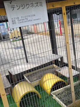 天王寺動物園に投稿された画像（2021/11/21）