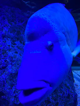 すみだ水族館に投稿された画像（2021/11/21）