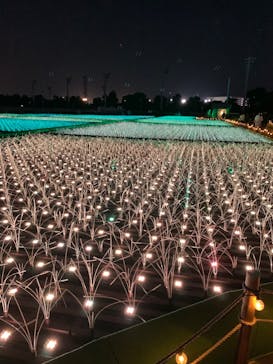 東京メガイルミに投稿された画像（2021/11/21）