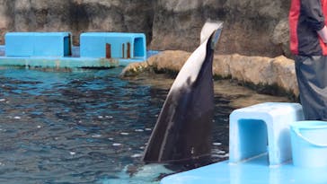 名古屋港水族館に投稿された画像（2021/11/21）