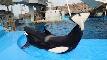 名古屋港水族館に投稿された画像（2021/11/21）