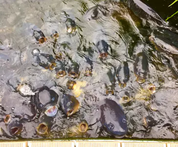 横浜・八景島シーパラダイスに投稿された画像（2021/11/21）