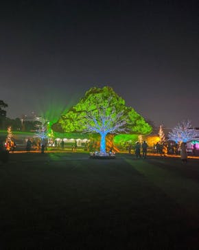 東京メガイルミに投稿された画像（2021/11/21）